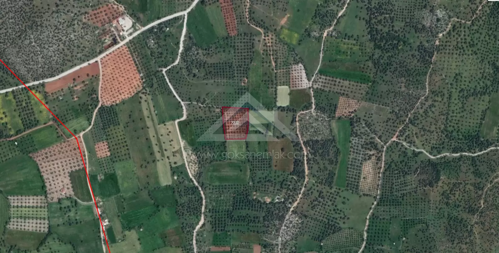 7.850 Sqm Land For Sale İn Kazıklı Bay With More Then 100 Olives